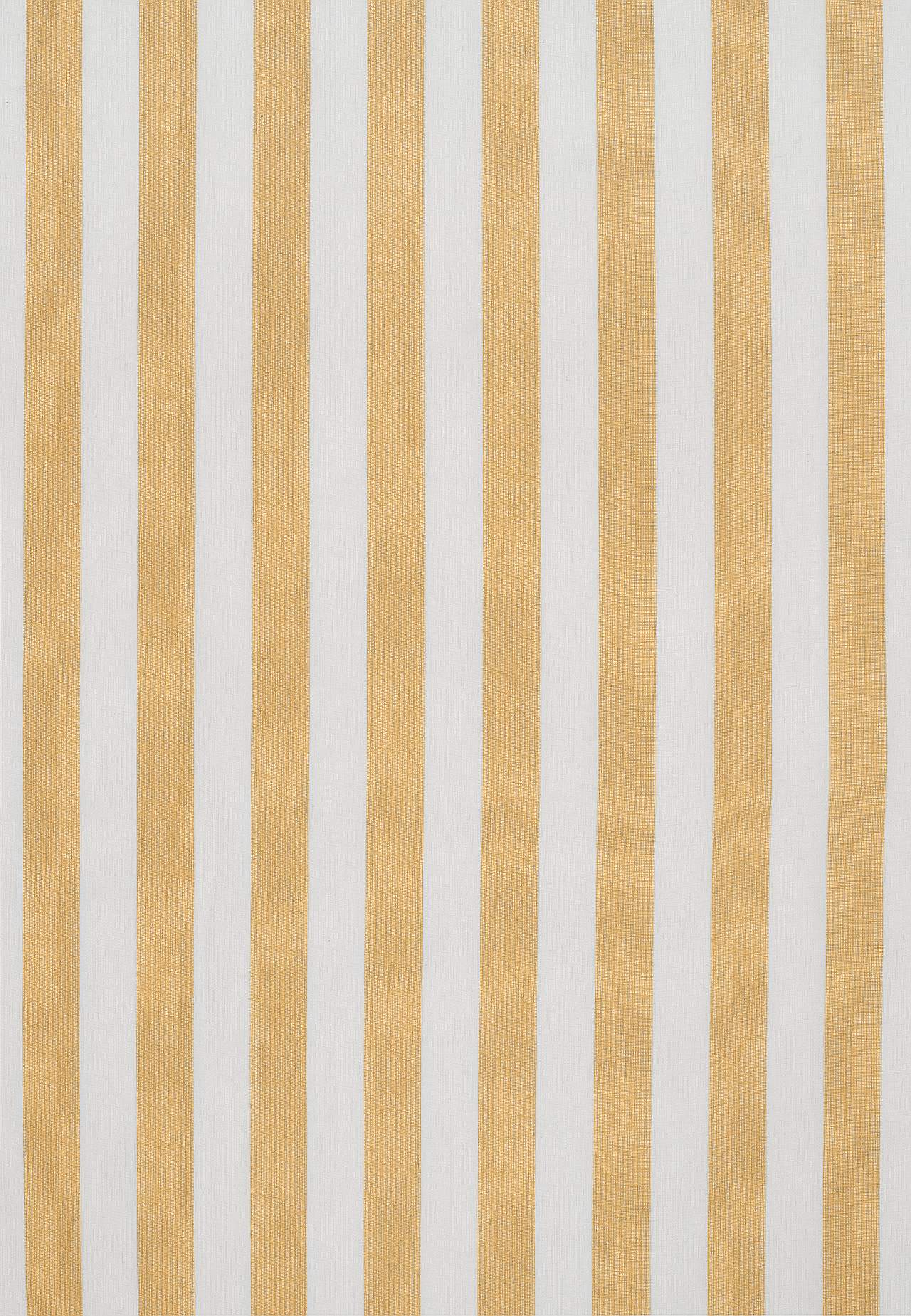 Næsten gennemsigtig multibåndslængde med striber 2-pack