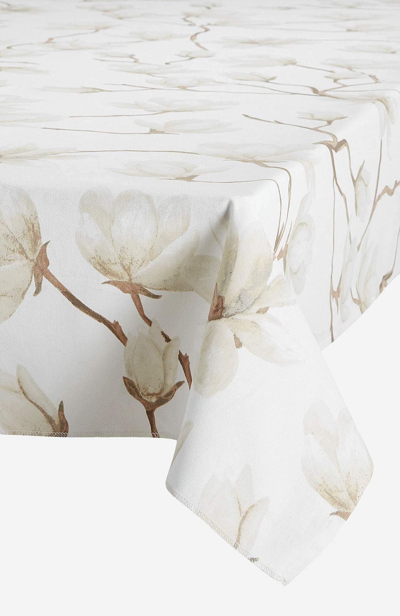 Dug Magnolia blomster