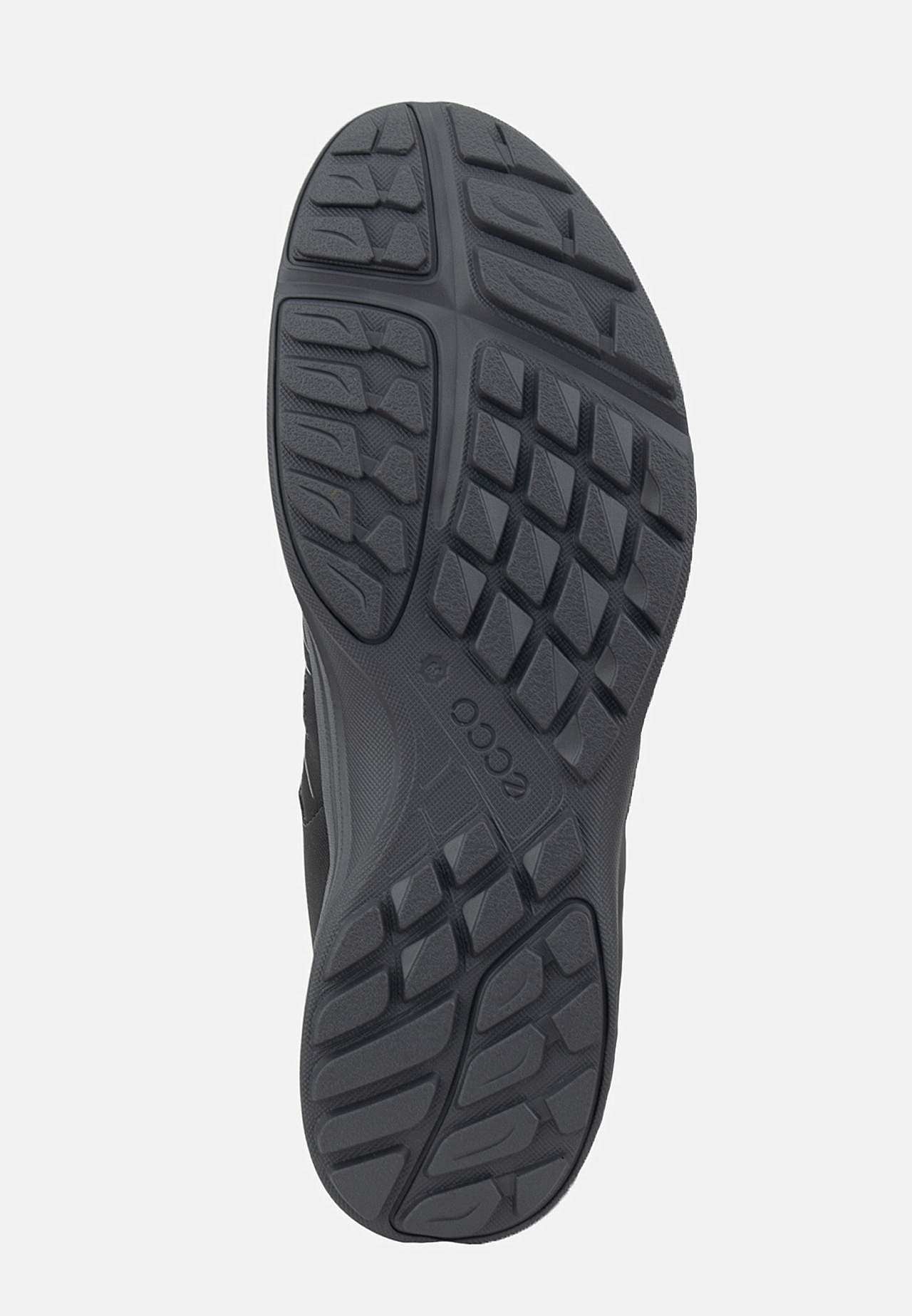 Kondisko Terracruise LT